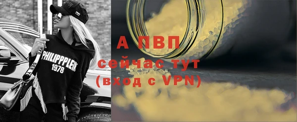 индика Мегион