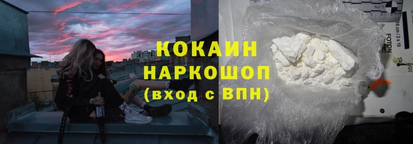 индика Мегион