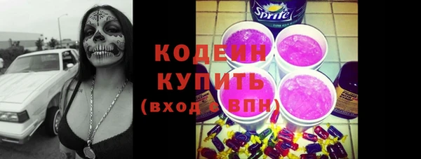 индика Мегион