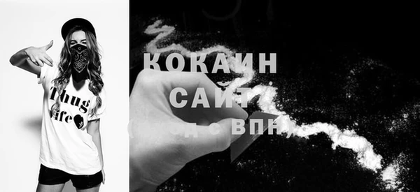 индика Мегион