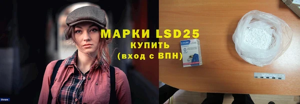 индика Мегион
