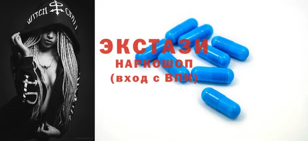 индика Мегион