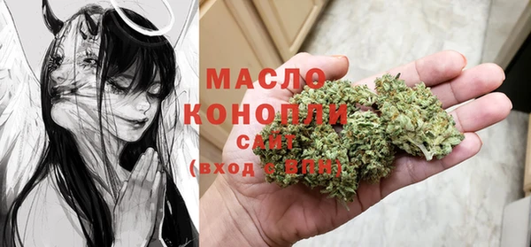 индика Мегион