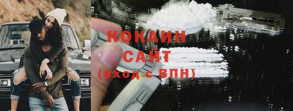 индика Мегион