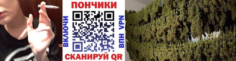 МАРИХУАНА Amnesia  MEGA ссылки  Междуреченск 